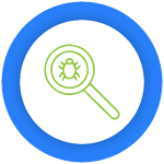 Pest Inspection in Brighton