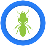 Termites